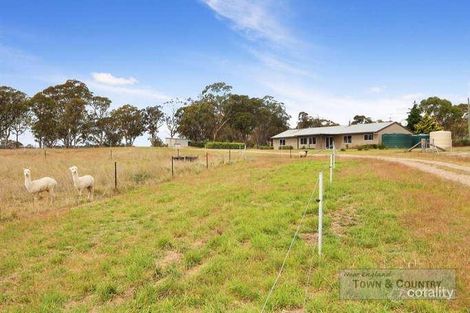 Property photo of 52 Argyle-Mining Vale Road Metz NSW 2350