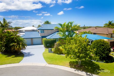 Property photo of 16 Jill Street Brighton QLD 4017