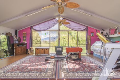 Property photo of 36199 Tasman Highway Springfield TAS 7260