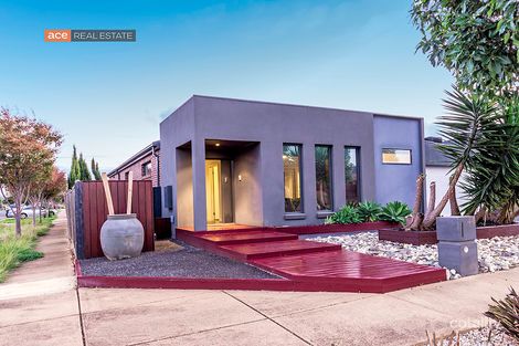 Property photo of 44 Urban Drive Williams Landing VIC 3027