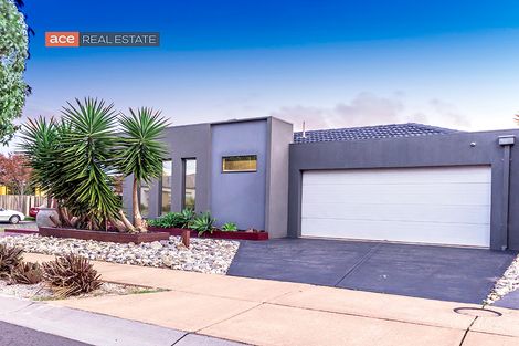 Property photo of 44 Urban Drive Williams Landing VIC 3027