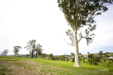 Property photo of 16 Rivergum Drive Aberglasslyn NSW 2320