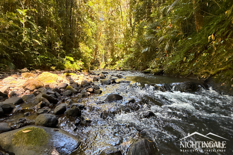 499 OLD CAIRNS TRK, BUTCHERS CREEK, QLD 4885