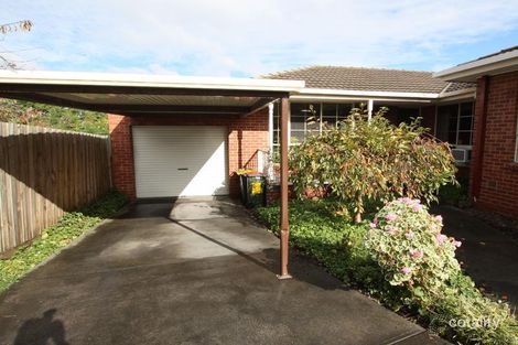 3/55 Clarke St, Newtown, VIC 3220