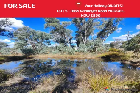 Property photo of 1665 Windeyer Road Windeyer NSW 2850