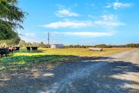 Property photo of 97 Burtons Road Antigua QLD 4650