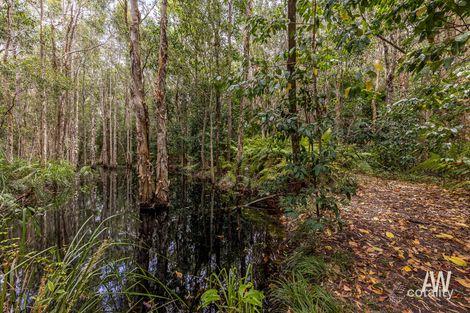 Property photo of 1619 Louis Bazzo Drive Boreen Point QLD 4565