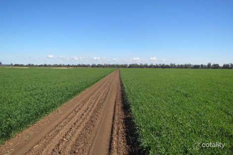 1107 Therribri Rd, Harparary, NSW 2390