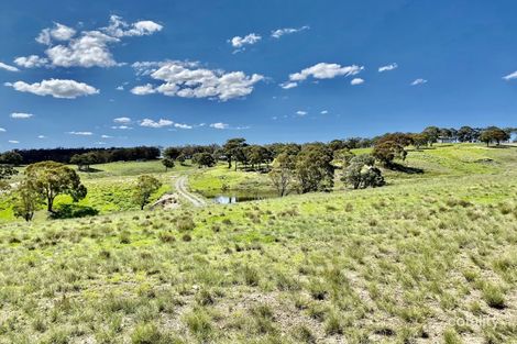 Property photo of 44 Graham Lane Carrick NSW 2580