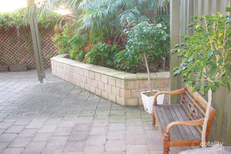 19b Weller St, Goodwood, SA 5034