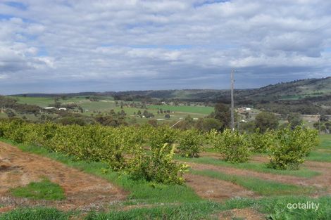 Property photo of 81 Beaufort Street West Toodyay WA 6566