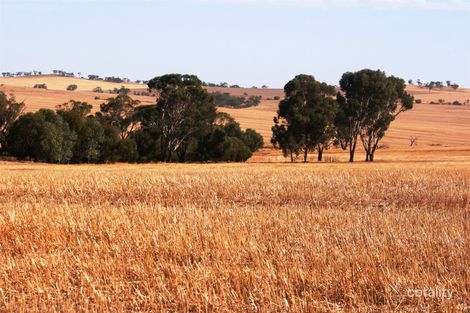 1400 Northam-Pithara Rd, Jennapullin, WA 6401