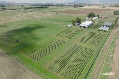 94 Green Rises Rd, Cressy, TAS 7302