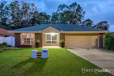 Property photo of 4 Princeton Court Fitzgibbon QLD 4018