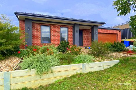 Property photo of 19 Teatree Lane Wallan VIC 3756