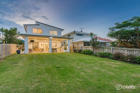 Property photo of 42 Shelley Street Cannon Hill QLD 4170