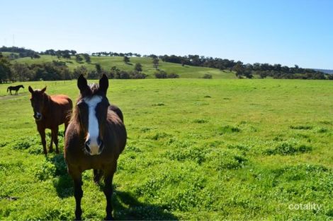 36 Dexter Ch, Lower Chittering, WA 6084