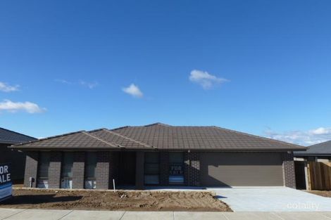 Property photo of 38 Winchester Street Casey ACT 2913