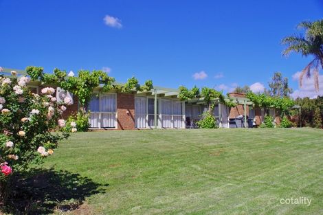 146 Chino St, Renmark West, SA 5341