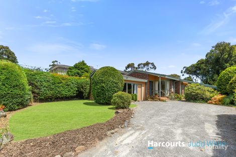 3 Cowrie St, Glen Waverley, VIC 3150