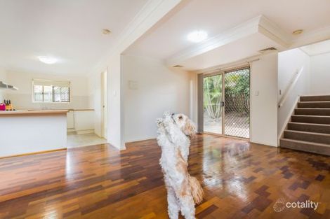 Property photo of 3/15 Coyne Street Sherwood QLD 4075