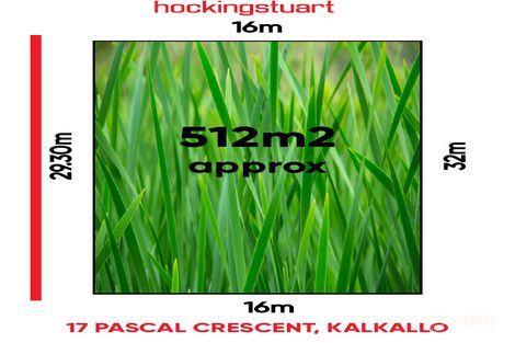 Property photo of 17 Pascal Crescent Kalkallo VIC 3064