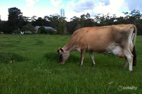 Property photo of 405 Doctors Gully Road Nutfield VIC 3099