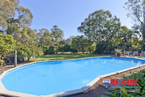 Property photo of 23 Catherine Street Birkdale QLD 4159