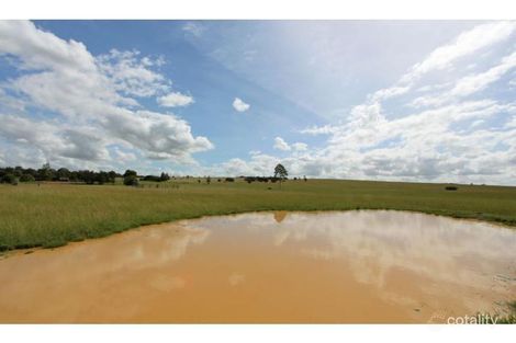 Property photo of 312 Mitchell Line Of Road Whittingham NSW 2330