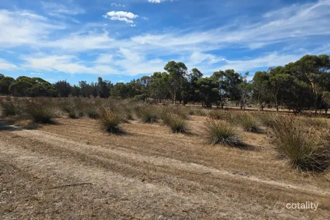 31 Forrest Hill Rd, Katanning, WA 6317