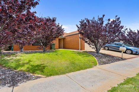 Property photo of 36 Parnham Avenue Ellenbrook WA 6069