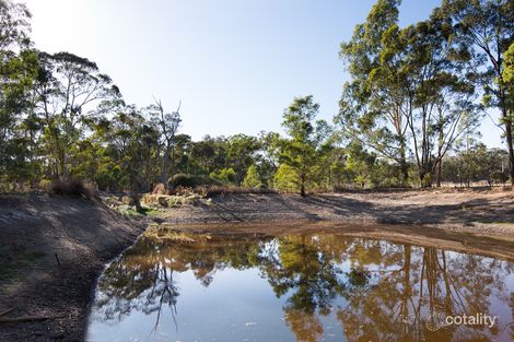 Property photo of 19 Omega Reef Road Newstead VIC 3462