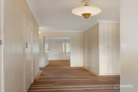 Property photo of 19 Warner Street Raceview QLD 4305