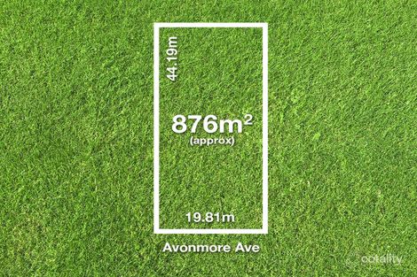 Property photo of 11 Avonmore Avenue Trinity Gardens SA 5068