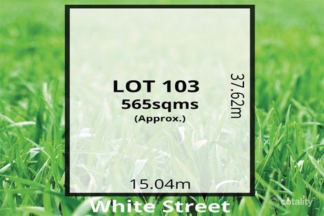 Property photo of 10A White Street Kapunda SA 5373