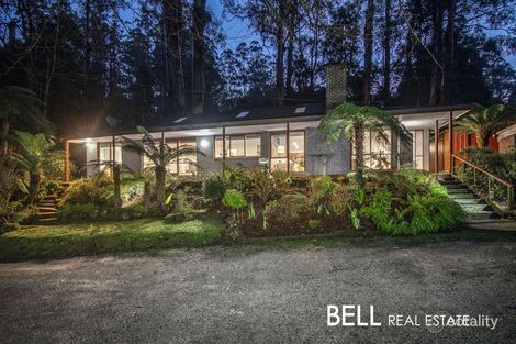 49 The Crescent, Sassafras, VIC 3787