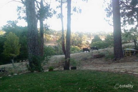 Property photo of 201 Sturt Valley Road Upper Sturt SA 5156