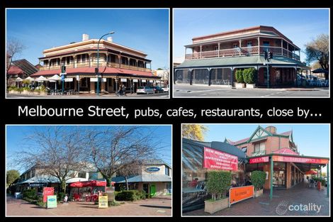 Property photo of 44 Chapel Street Thebarton SA 5031