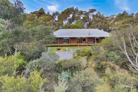 Property photo of 49 Riverview Road Scamander TAS 7215