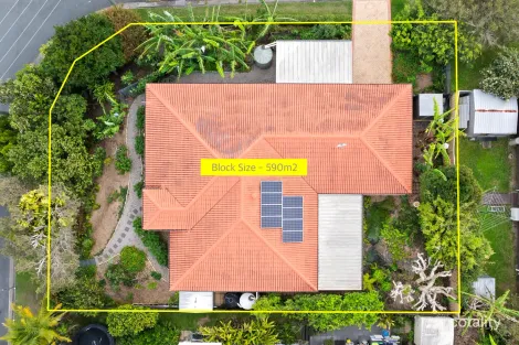 Property photo of 43 Beerburrum Street Battery Hill QLD 4551