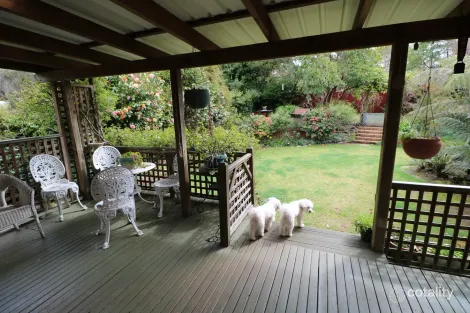 Property photo of 15 Ficus Street Katoomba NSW 2780