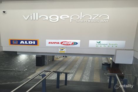 Property photo of 106 Bowden Street Meadowbank NSW 2114