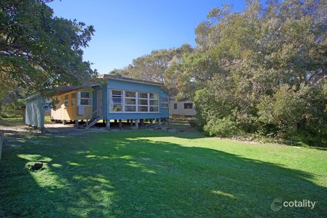 Property photo of 7 Dewar Street Point Arkwright QLD 4573
