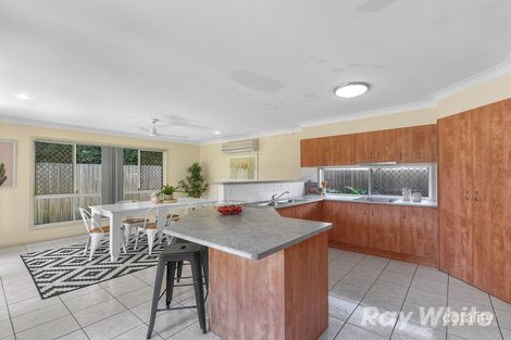 Property photo of 6 Azahar Street Carseldine QLD 4034