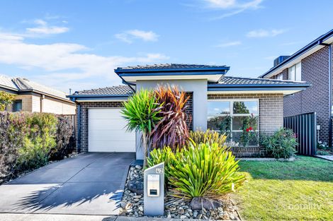42 Haflinger Ave, Clyde North, VIC 3978