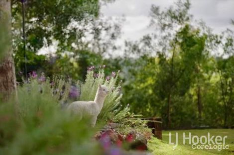 Property photo of 1-3 Knoll Road Tamborine Mountain QLD 4272