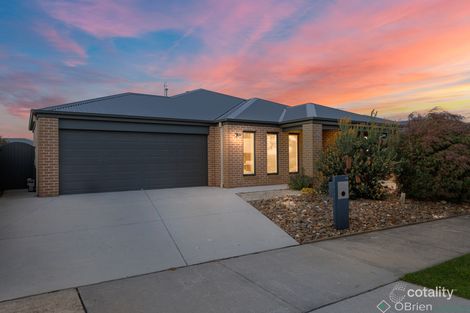 55 Obrien Cct, North Wonthaggi, VIC 3995