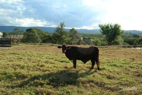 Property photo of 717 Caboolture River Road Upper Caboolture QLD 4510