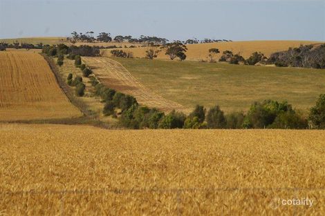 Property photo of 125 Bald Hill Road Wanilla SA 5607