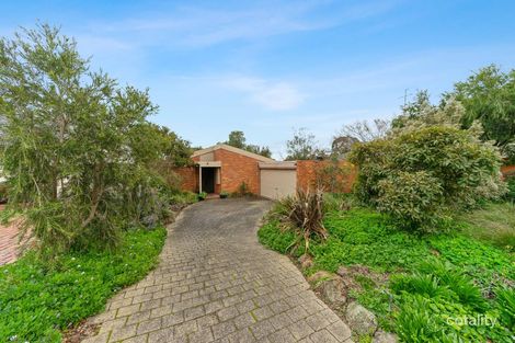 Property photo of 11 Cooloongatta Road Camberwell VIC 3124